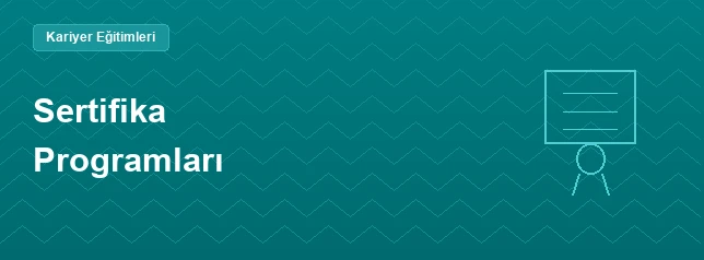 IIBA® İş Analizi Metodolojisi Sertifika Programı 